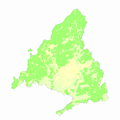 Export Image